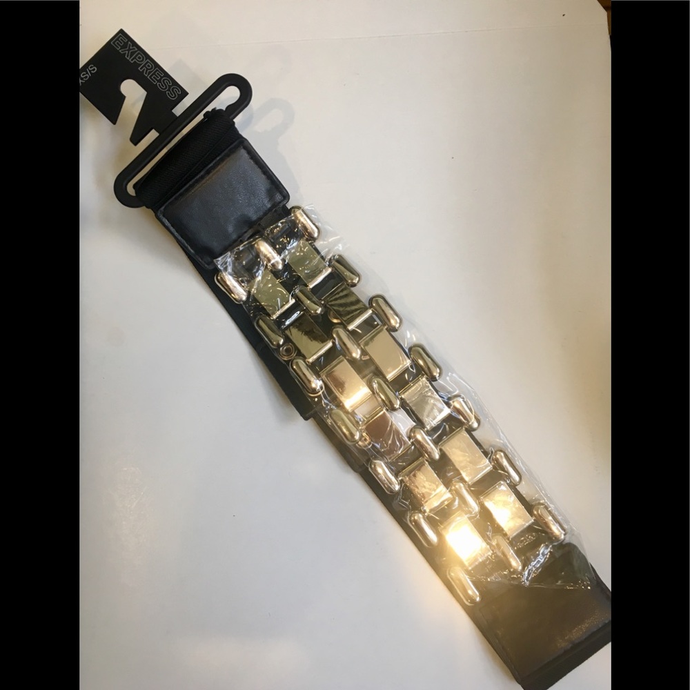 Express Stretch Belt Gold Chain
